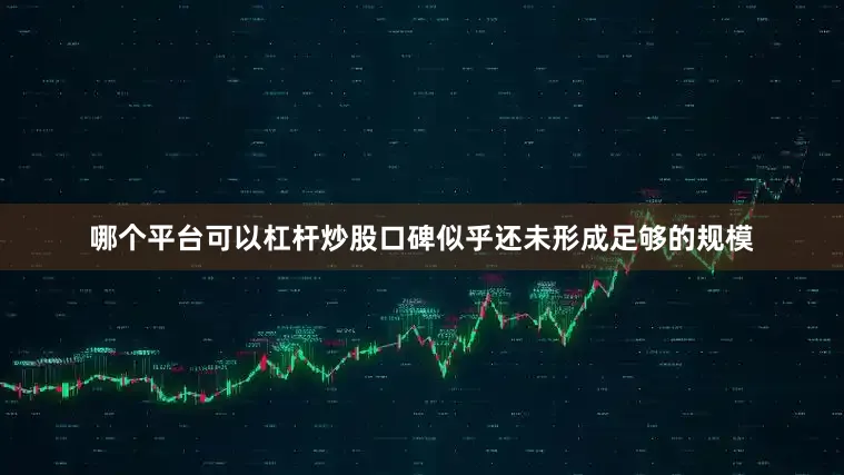 哪个平台可以杠杆炒股口碑似乎还未形成足够的规模
