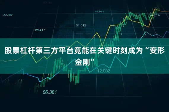 股票杠杆第三方平台竟能在关键时刻成为“变形金刚”