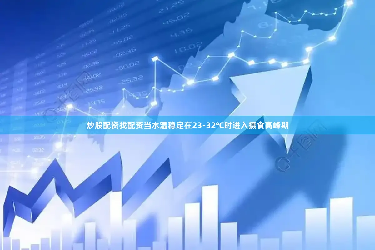 炒股配资找配资当水温稳定在23-32℃时进入摄食高峰期